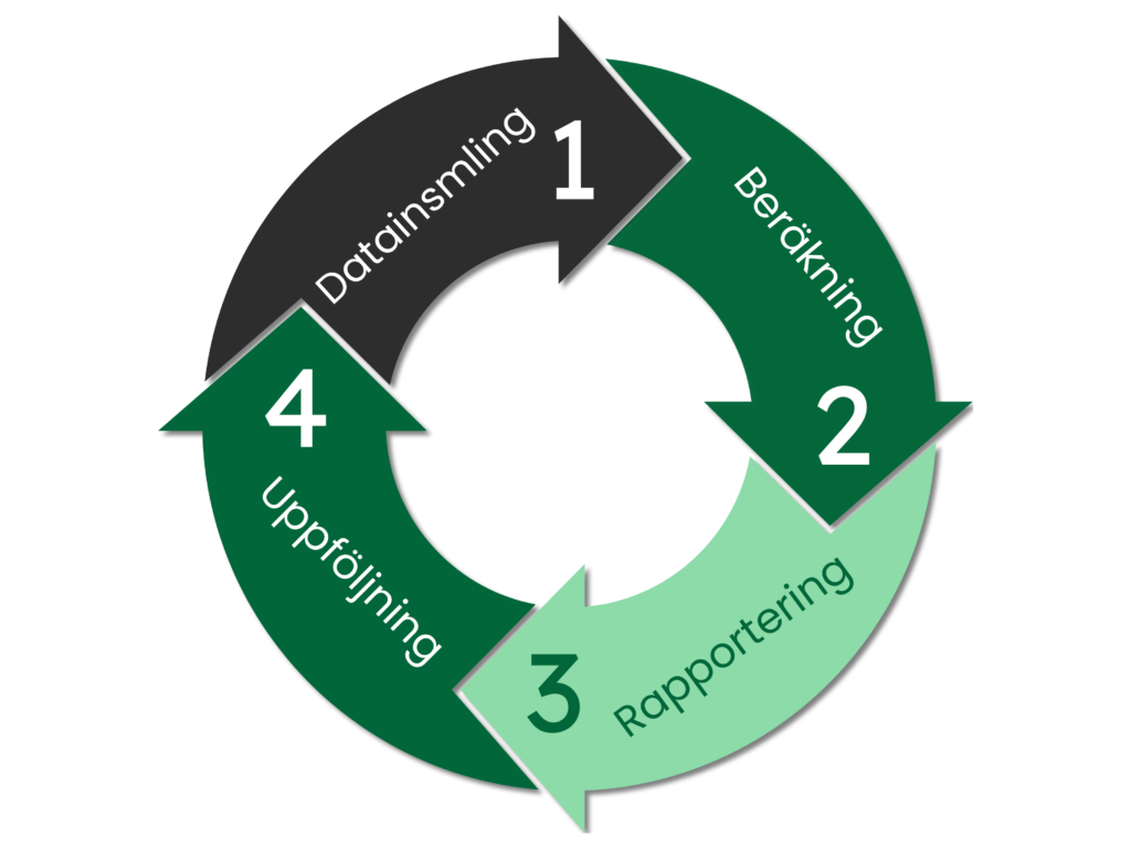 Compareitgreen process